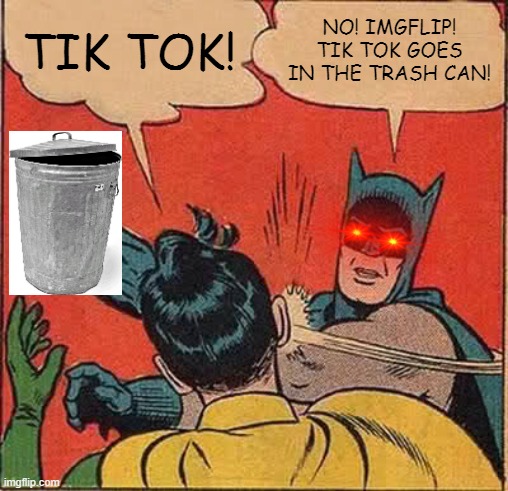 Tik Tok: A fine edition to my trash can! | TIK TOK! NO! IMGFLIP! TIK TOK GOES IN THE TRASH CAN! | image tagged in memes,batman slapping robin | made w/ Imgflip meme maker