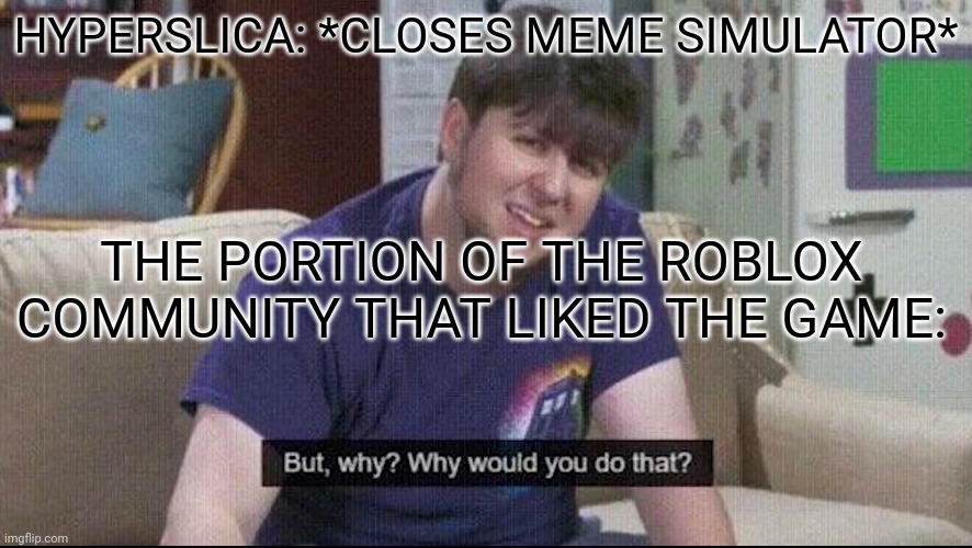 Farewell, meme simulator | HYPERSLICA: *CLOSES MEME SIMULATOR*; THE PORTION OF THE ROBLOX COMMUNITY THAT LIKED THE GAME: | image tagged in but why why would you do that,roblox | made w/ Imgflip meme maker
