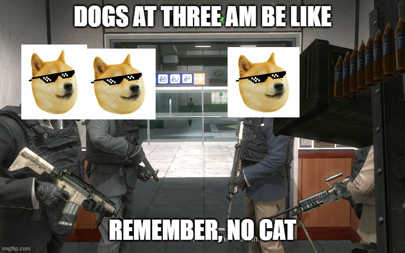 no russian | DOGS AT THREE AM BE LIKE; REMEMBER, NO CAT | image tagged in no russian | made w/ Imgflip meme maker