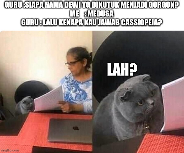 Cat teacher | GURU :SIAPA NAMA DEWI YG DIKUTUK MENJADI GORGON?

ME    : MEDUSA

GURU : LALU KENAPA KAU JAWAB CASSIOPEIA? LAH? | image tagged in cat teacher | made w/ Imgflip meme maker