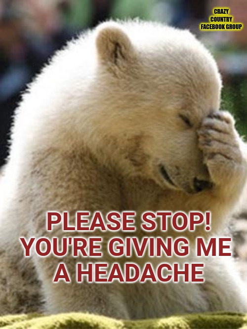 Headache Bear |  CRAZY COUNTRY
FACEBOOK GROUP; PLEASE STOP!
YOU'RE GIVING ME 
A HEADACHE | image tagged in memes,facepalm bear | made w/ Imgflip meme maker