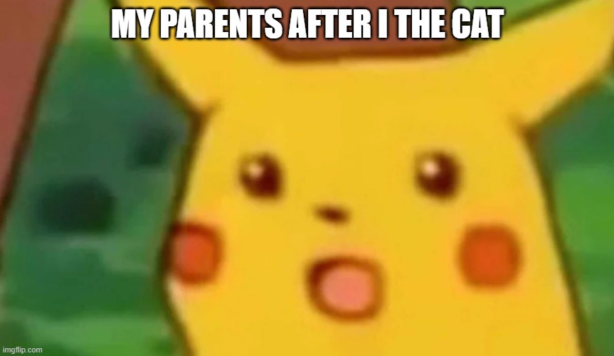 MY PARENTS AFTER I THE CAT | image tagged in funny memes | made w/ Imgflip meme maker