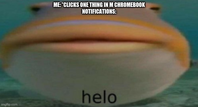 chromebook is bad | ME: *CLICKS ONE THING IN M CHROMEBOOK
NOTIFICATIONS: | image tagged in helo | made w/ Imgflip meme maker