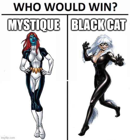 Villain edition!!! Tell your opinion in the comments! | MYSTIQUE; BLACK CAT | image tagged in memes,who would win,marvel | made w/ Imgflip meme maker