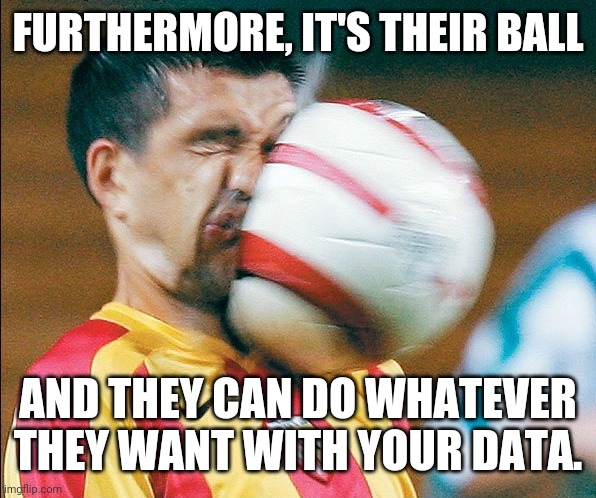 getting hit in the face by a soccer ball | FURTHERMORE, IT'S THEIR BALL AND THEY CAN DO WHATEVER THEY WANT WITH YOUR DATA. | image tagged in getting hit in the face by a soccer ball | made w/ Imgflip meme maker