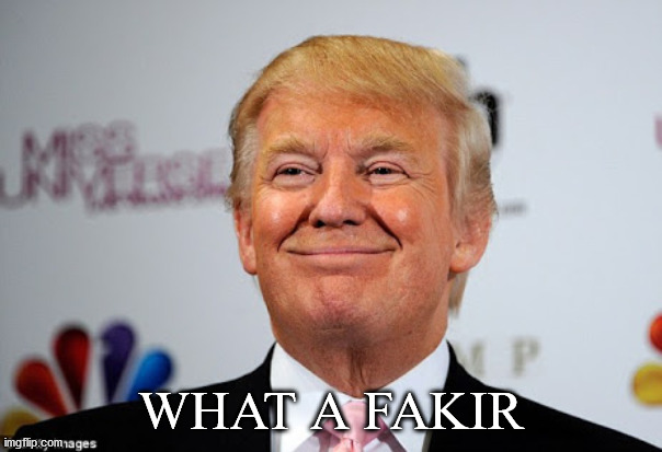 King of CoVid | WHAT A FAKIR | image tagged in donald trump approves,biden,trump,elections2020 | made w/ Imgflip meme maker