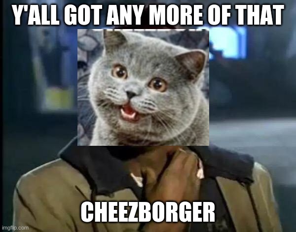 Y'all Got Any More Of That | Y'ALL GOT ANY MORE OF THAT; CHEEZBORGER | image tagged in memes,y'all got any more of that,cats | made w/ Imgflip meme maker