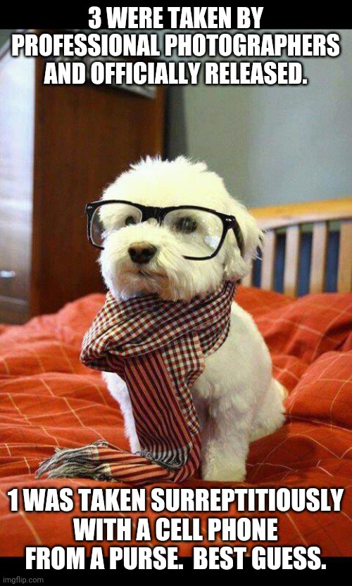 Intelligent Dog Meme | 3 WERE TAKEN BY PROFESSIONAL PHOTOGRAPHERS AND OFFICIALLY RELEASED. 1 WAS TAKEN SURREPTITIOUSLY WITH A CELL PHONE FROM A PURSE.  BEST GUESS. | image tagged in memes,intelligent dog | made w/ Imgflip meme maker