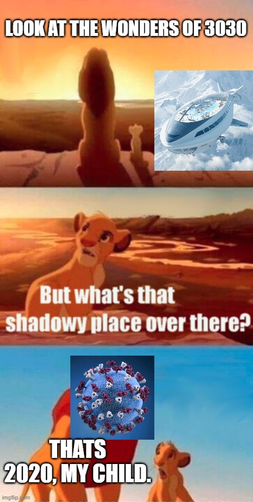 Simba Shadowy Place | LOOK AT THE WONDERS OF 3030; THATS 2020, MY CHILD. | image tagged in memes,simba shadowy place | made w/ Imgflip meme maker