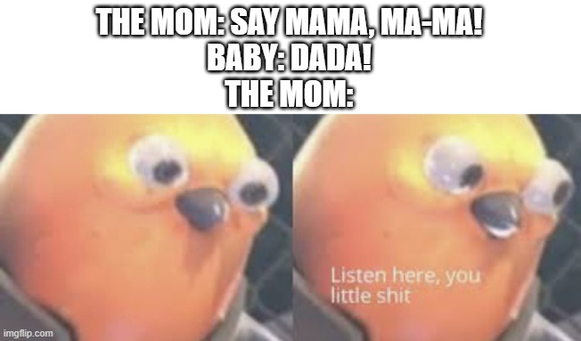 This just came through my head XD | THE MOM: SAY MAMA, MA-MA!
BABY: DADA!
THE MOM: | image tagged in listen here you little shit bird,baby,memes | made w/ Imgflip meme maker