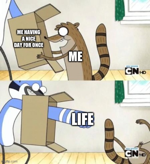 Mordecai Punches Rigby Through a Box | ME HAVING A NICE DAY FOR ONCE; ME; LIFE | image tagged in mordecai punches rigby through a box | made w/ Imgflip meme maker