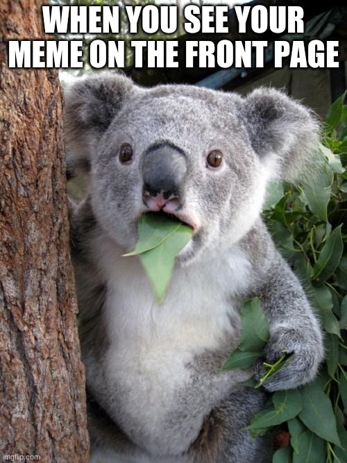 Surprised Koala | WHEN YOU SEE YOUR MEME ON THE FRONT PAGE | image tagged in memes,surprised koala | made w/ Imgflip meme maker