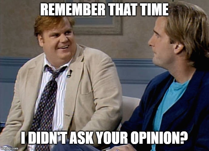 Remember that time | REMEMBER THAT TIME I DIDN'T ASK YOUR OPINION? | image tagged in remember that time | made w/ Imgflip meme maker