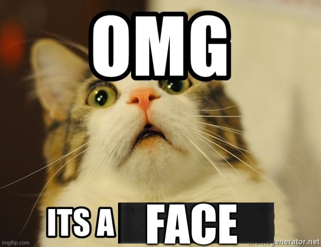 Me right after my quarantine | FACE | image tagged in cat | made w/ Imgflip meme maker