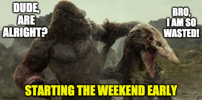 Starting weekend early | DUDE, ARE ALRIGHT? BRO, I AM SO WASTED! STARTING THE WEEKEND EARLY | image tagged in fun | made w/ Imgflip meme maker