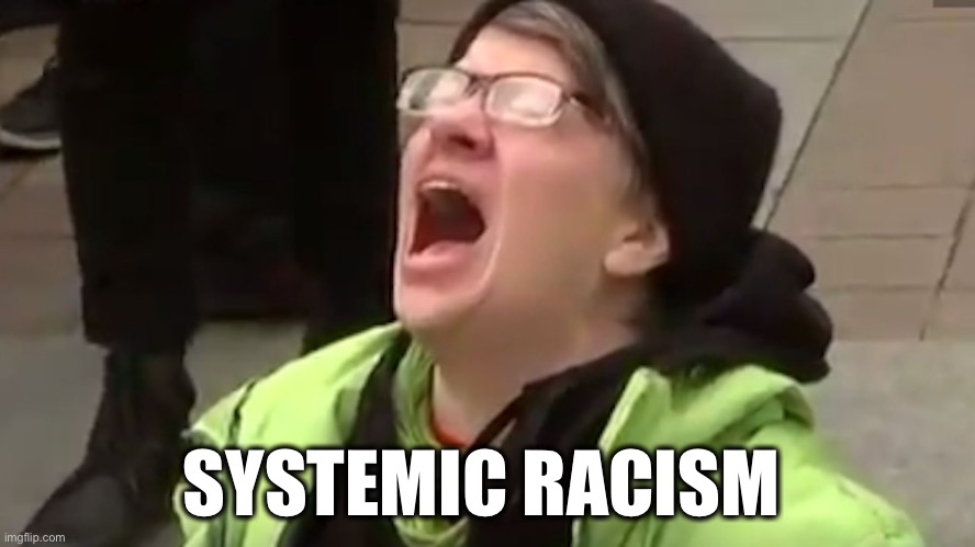 Screaming Liberal  | SYSTEMIC RACISM | image tagged in screaming liberal | made w/ Imgflip meme maker