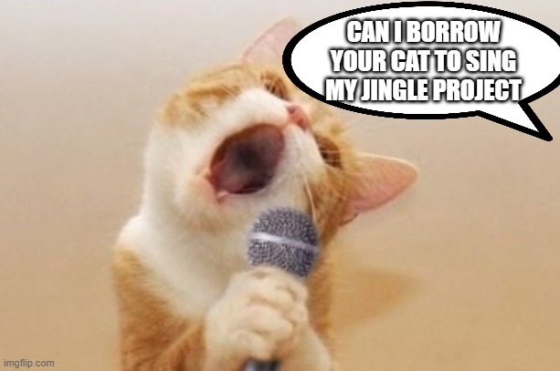 Funny cat | CAN I BORROW YOUR CAT TO SING MY JINGLE PROJECT | image tagged in funny cat | made w/ Imgflip meme maker