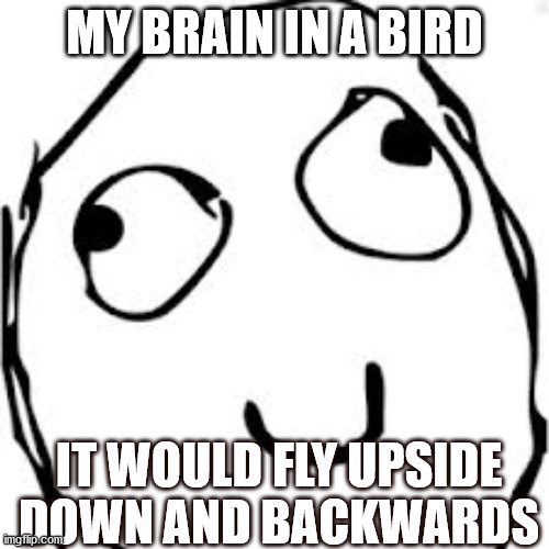Derp |  MY BRAIN IN A BIRD; IT WOULD FLY UPSIDE DOWN AND BACKWARDS | image tagged in memes,derp | made w/ Imgflip meme maker