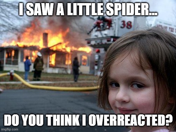 Anger Management Issues... | I SAW A LITTLE SPIDER... DO YOU THINK I OVERREACTED? | image tagged in memes,disaster girl | made w/ Imgflip meme maker