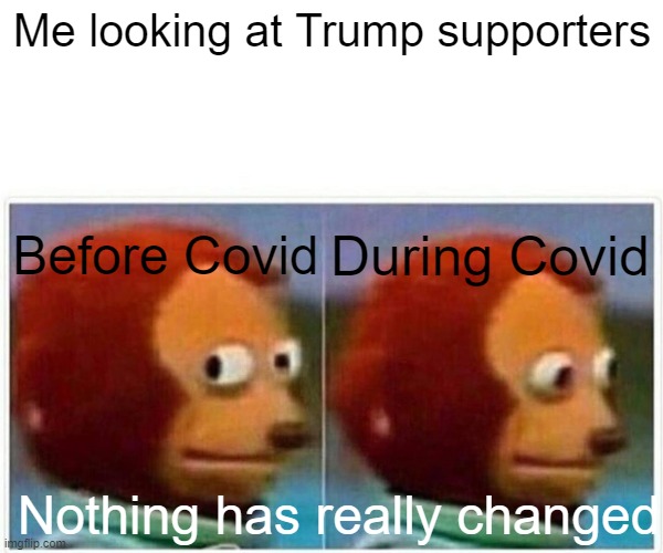 Monkey Puppet | Me looking at Trump supporters; During Covid; Before Covid; Nothing has really changed | image tagged in memes,monkey puppet | made w/ Imgflip meme maker