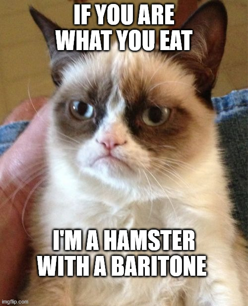 Grumpy Cat Meme | IF YOU ARE WHAT YOU EAT; I'M A HAMSTER WITH A BARITONE | image tagged in memes,grumpy cat | made w/ Imgflip meme maker