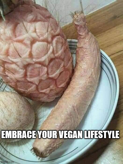 EMBRACE YOUR VEGAN LIFESTYLE | image tagged in veganism | made w/ Imgflip meme maker