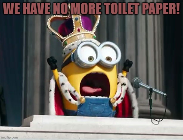 Every Americans nightmare | WE HAVE NO MORE TOILET PAPER! | image tagged in minions king bob | made w/ Imgflip meme maker