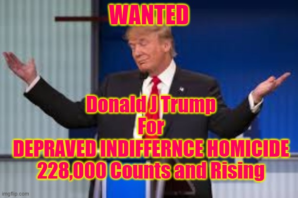 Donald Trump | WANTED; Donald J Trump
For
DEPRAVED INDIFFERNCE HOMICIDE
228,000 Counts and Rising | image tagged in donald trump | made w/ Imgflip meme maker