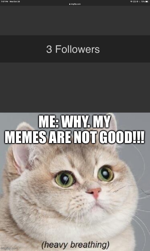 3 followers I guess... wHy!?!?!? | ME: WHY. MY MEMES ARE NOT GOOD!!! | image tagged in memes,heavy breathing cat | made w/ Imgflip meme maker