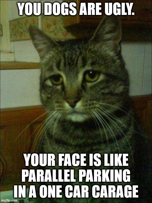 Depressed Cat Meme | YOU DOGS ARE UGLY. YOUR FACE IS LIKE PARALLEL PARKING IN A ONE CAR CARAGE | image tagged in memes,depressed cat | made w/ Imgflip meme maker