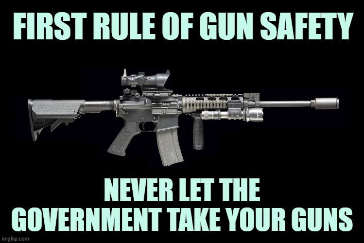 ΜΟΛΩΝ ΛΑΒΕ | FIRST RULE OF GUN SAFETY; NEVER LET THE GOVERNMENT TAKE YOUR GUNS | image tagged in ar15,nra,election 2020 | made w/ Imgflip meme maker