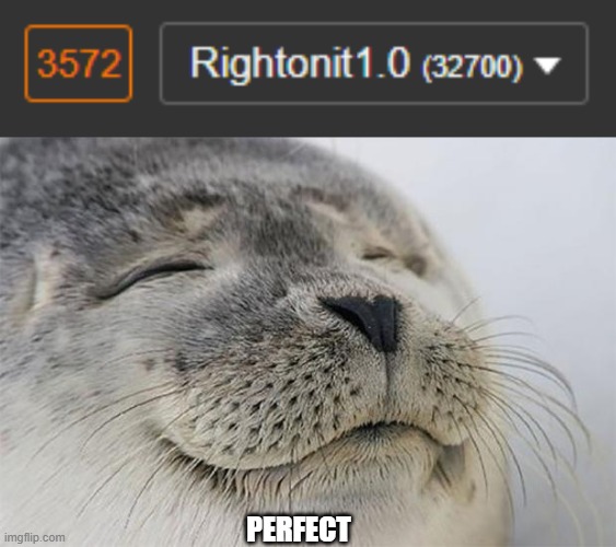 PERFECT | image tagged in memes,satisfied seal | made w/ Imgflip meme maker