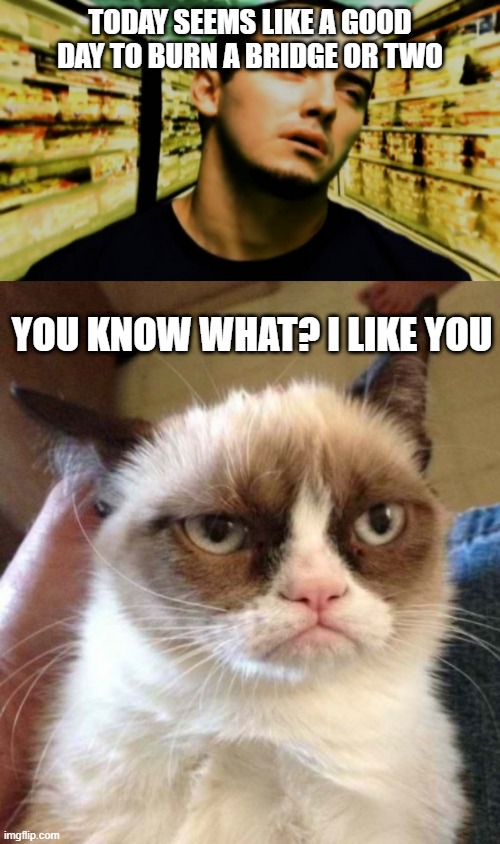 TODAY SEEMS LIKE A GOOD DAY TO BURN A BRIDGE OR TWO; YOU KNOW WHAT? I LIKE YOU | image tagged in memes,grumpy cat reverse,i'll be here awhile 311,cats,music,funny | made w/ Imgflip meme maker