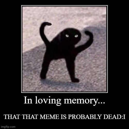 black cat is dead | image tagged in funny,demotivationals | made w/ Imgflip demotivational maker