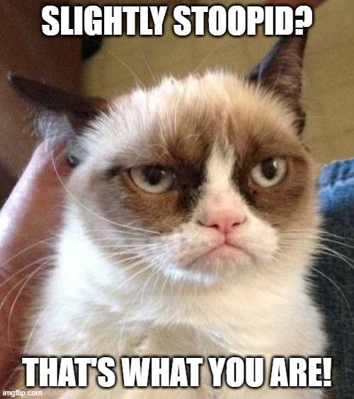 Grumpy Cat Reverse Meme | SLIGHTLY STOOPID? THAT'S WHAT YOU ARE! | image tagged in memes,grumpy cat reverse,grumpy cat,musically malicious grumpy cat,music,funny | made w/ Imgflip meme maker