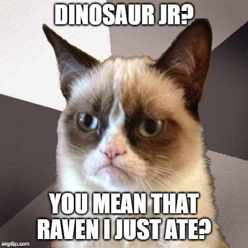 Musically Malicious Grumpy Cat | DINOSAUR JR? YOU MEAN THAT RAVEN I JUST ATE? | image tagged in musically malicious grumpy cat,grumpy cat,memes,cats,funny,meme | made w/ Imgflip meme maker