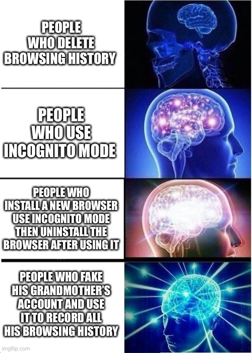 About browsing history | PEOPLE WHO DELETE BROWSING HISTORY; PEOPLE WHO USE INCOGNITO MODE; PEOPLE WHO INSTALL A NEW BROWSER USE INCOGNITO MODE THEN UNINSTALL THE BROWSER AFTER USING IT; PEOPLE WHO FAKE HIS GRANDMOTHER’S ACCOUNT AND USE IT TO RECORD ALL HIS BROWSING HISTORY | image tagged in memes,expanding brain | made w/ Imgflip meme maker