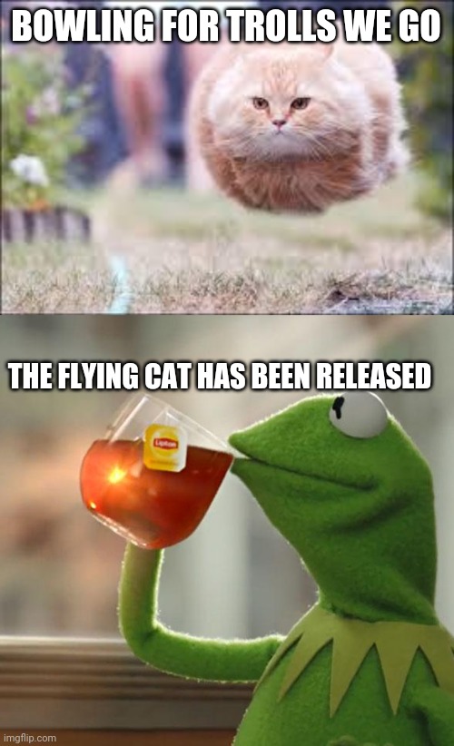 BOWLING FOR TROLLS WE GO THE FLYING CAT HAS BEEN RELEASED | image tagged in memes,but that's none of my business,flying cat ball | made w/ Imgflip meme maker