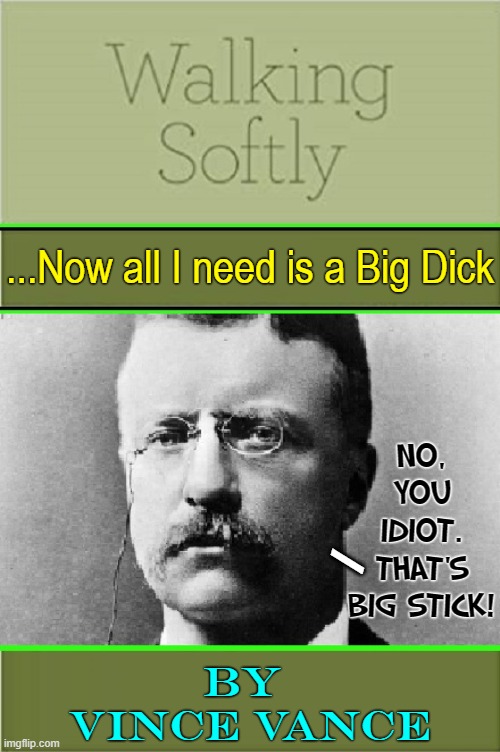 ...Now all I need is a Big Dick BY 
VINCE VANCE NO, YOU IDIOT. THAT'S BIG STICK! / | made w/ Imgflip meme maker
