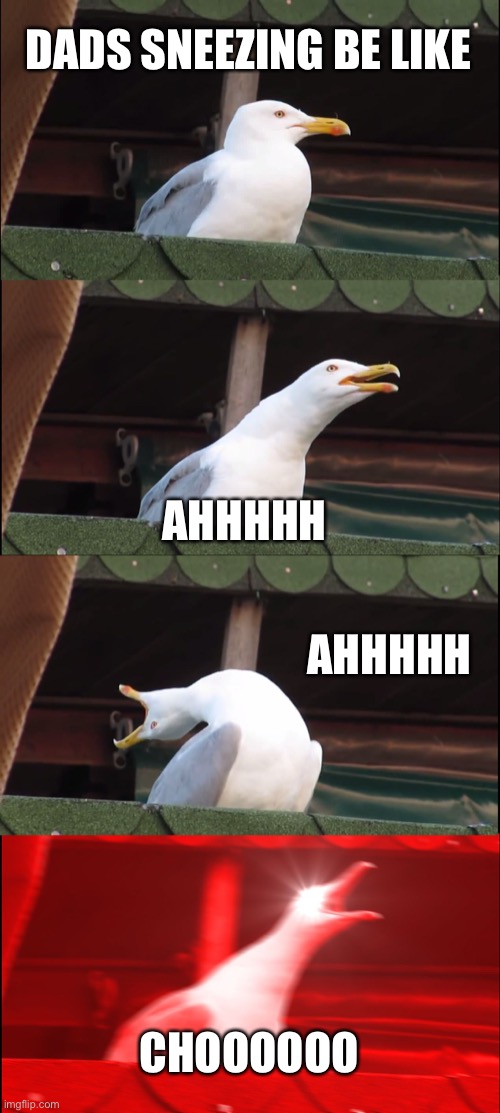 Inhaling Seagull | DADS SNEEZING BE LIKE; AHHHHH; AHHHHH; CHOOOOOO | image tagged in memes,inhaling seagull | made w/ Imgflip meme maker