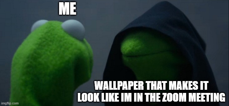 The all mighty | ME; WALLPAPER THAT MAKES IT LOOK LIKE IM IN THE ZOOM MEETING | image tagged in memes,evil kermit | made w/ Imgflip meme maker