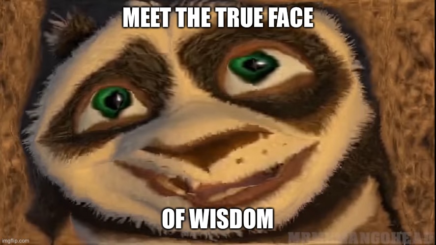 Du u lik? | MEET THE TRUE FACE; OF WISDOM | image tagged in face of wisdom | made w/ Imgflip meme maker