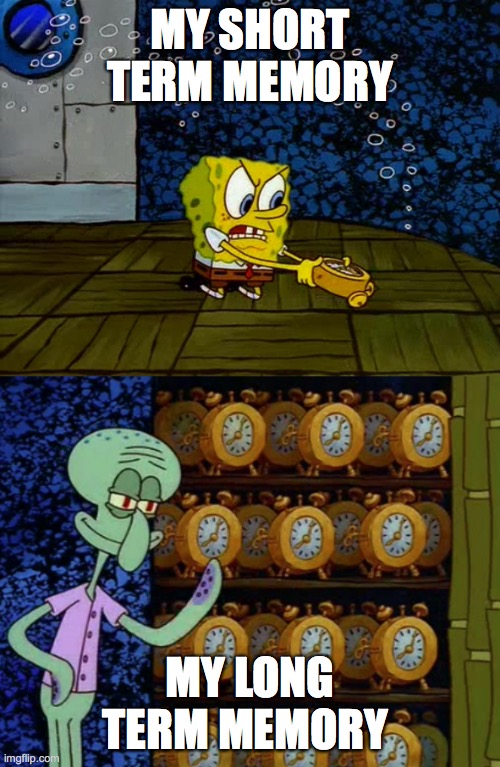 Spongebob vs Squidward Alarm Clocks | MY SHORT TERM MEMORY; MY LONG TERM MEMORY | image tagged in spongebob vs squidward alarm clocks | made w/ Imgflip meme maker