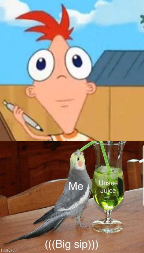 Phineas from Phineas & Ferb, but from a front angle | image tagged in unsee juice,funny,memes,funny memes,can't unsee | made w/ Imgflip meme maker