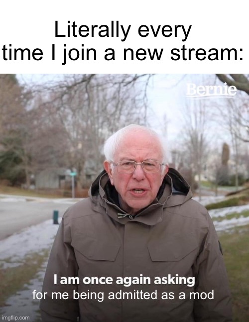 Can I plz be mod? Isn’t that what this group does? | Literally every time I join a new stream:; for me being admitted as a mod | image tagged in bernie i am once again asking for your support,plz,can,i,be,mod | made w/ Imgflip meme maker