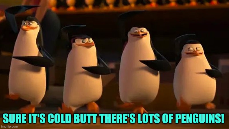 penguins of madagascar | SURE IT'S COLD BUTT THERE'S LOTS OF PENGUINS! | image tagged in penguins of madagascar | made w/ Imgflip meme maker