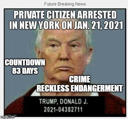 83 Days Until January 21, 2021 - COUNTDOWN In Progress - 100 Days Listing 100 Trump Crimes | COUNTDOWN
83 DAYS; CRIME
RECKLESS ENDANGERMENT | image tagged in countdown,trump crime family,mafia don,russian spy,traitor,liar | made w/ Imgflip meme maker
