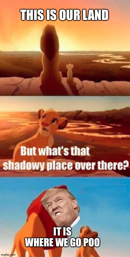 Simba Shadowy Place Meme | THIS IS OUR LAND; IT IS   WHERE WE GO POO | image tagged in memes,simba shadowy place | made w/ Imgflip meme maker