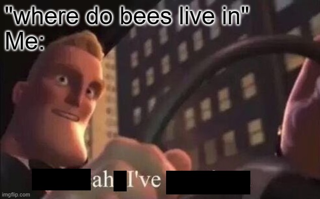 a h'ive | "where do bees live in"
Me: | image tagged in yeah i've got time | made w/ Imgflip meme maker