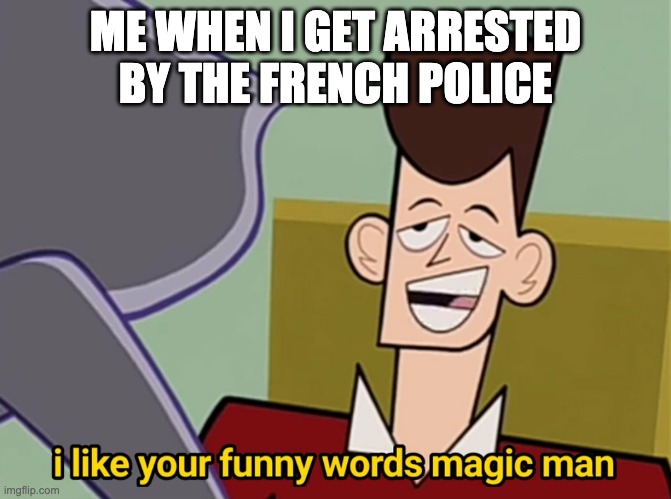 this me idk. | ME WHEN I GET ARRESTED BY THE FRENCH POLICE | image tagged in i like your funny words magic man | made w/ Imgflip meme maker